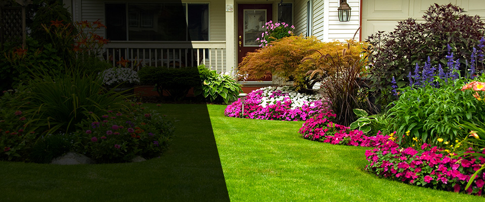 Laguna Landscapers