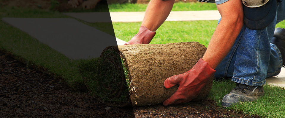 Laguna Landscapers